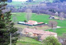 Buying a House in France: The Legal Dimension A rural landscape with two houses surrounded by green fields and scattered trees, perfect for those considering buying a house in France. The hilly terrain and distant woodlands add to this classic French property's charm.