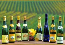 Visit France Aboard a Luxury Canal Barge or in a River Cruise Eight bottles of Alsace wine stand in a row on a wooden surface. A small bunch of red grapes and two yellow leaves sit in front, with a scenic French vineyard stretching into the distance—perfect for a luxury canal barge river cruise experience.