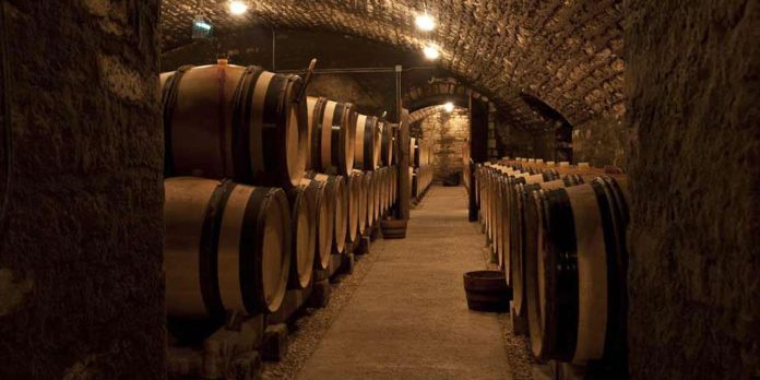 A dimly lit stone wine cellar with arched ceilings, lined on both sides with rows of large wooden barrels aging the best French wine. Warm lights illuminate rustic brick walls, creating a cozy atmosphere along the narrow path through the center.