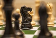 Of Man and Chess: the role of Imagination and Fantasy in KASPAROV’s autobiography A close-up of a black knight chess piece on a green and white chessboard, surrounded by blurred pieces in the background, evokes a sense of focus and imagination, as if the scene were drawn from a fantasy or Kasparov autobiography.