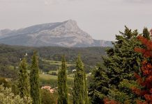 When Art meets Food “The Impressionist Table” meets the Artist: Paul Cezanne A mountain with a distinct peak rises behind a forested landscape reminiscent of Paul Cezanne’s style. Tall green trees and a few red-leaved branches frame scattered buildings below, beneath a light, mostly clear sky.