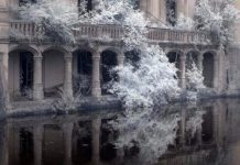 Ça vous dirait la VIE DE CHÂTEAU ? An old stone building with arched windows and a balcony stands partly submerged in calm water. Frost-covered trees surround this VIE DE CHÂTEAU scene, their icy foliage reflected below, creating an ethereal, wintry atmosphere.