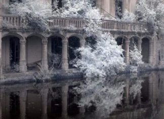 Ça vous dirait la VIE DE CHÂTEAU ? An old stone building with arched windows and a balcony stands partly submerged in calm water. Frost-covered trees surround this VIE DE CHÂTEAU scene, their icy foliage reflected below, creating an ethereal, wintry atmosphere.