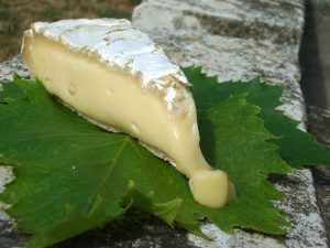 Brie cheese