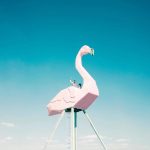Two people sit inside a large, pink flamingo sculpture elevated on metal stilts at the Burning Man festival. A ladder leads up as one waves, both enjoying their unique vantage point. The whimsical scene captures the spirit of photos impossibles.