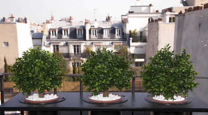 Hotel Tilsitt Etoile book hotel in paris