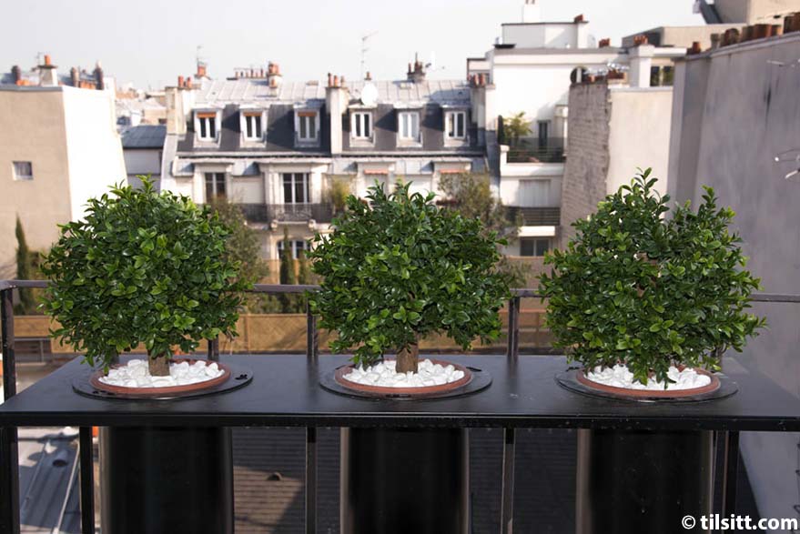 hôtel-tillsit-etoile-rue Trois plantes topiaires rondes et vertes sont posées sur la balustrade d'un balcon de l'hôtel Tilsitt Etoile, chacune dans un pot rempli de pierres blanches. Des immeubles d'habitation de style parisien avec des toits et des cheminées gris forment la toile de fond du charmant hôtel de charme.