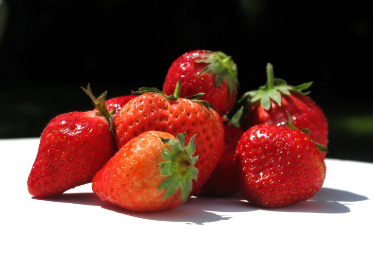 Un petit tas de fraises fraîches et mûres aux tiges vertes est posé sur une surface blanche, brillamment éclairée par la lumière du soleil. Ces baies d'un rouge éclatant reflètent l'essence de l'alimentation française et se détachent sur l'arrière-plan sombre et flou. 