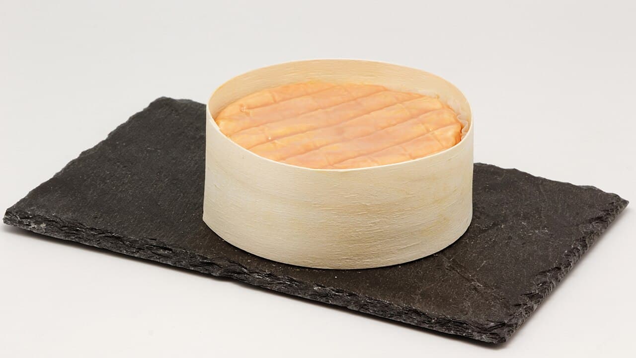 Époisses cheese